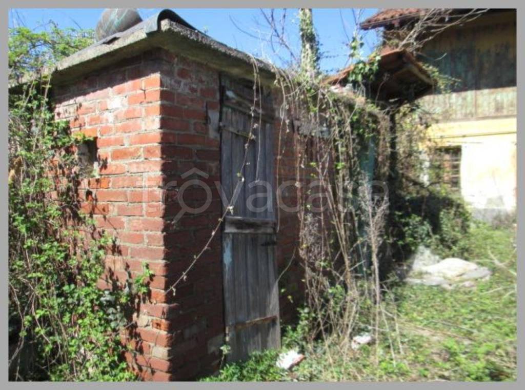 immagine annuncio 12 di 15