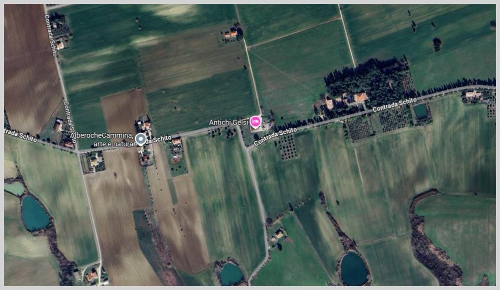 immagine annuncio 12 di 15