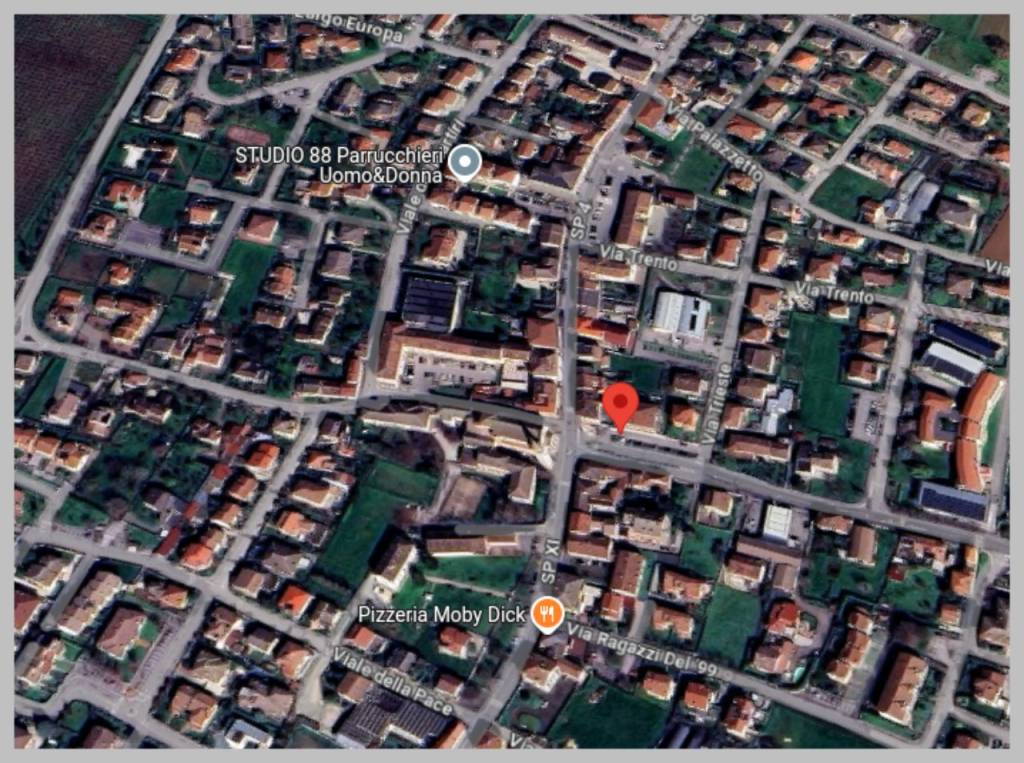 immagine annuncio 11 di 15