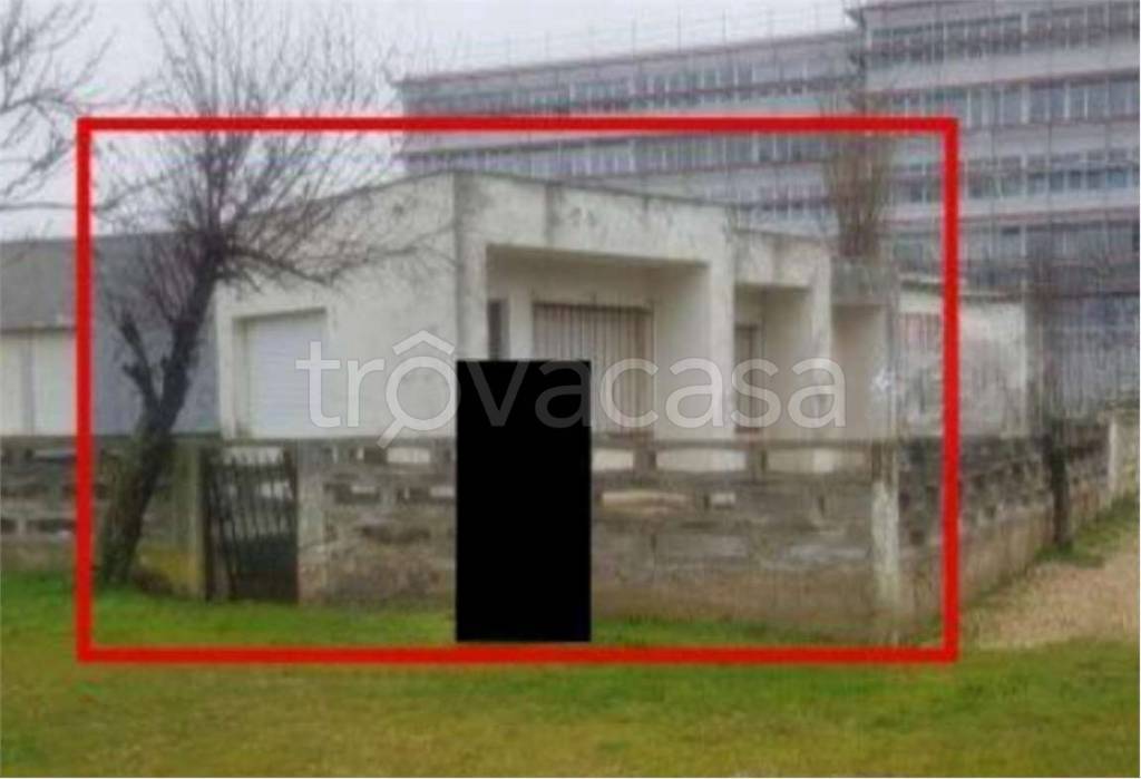 immagine annuncio 9 di 11