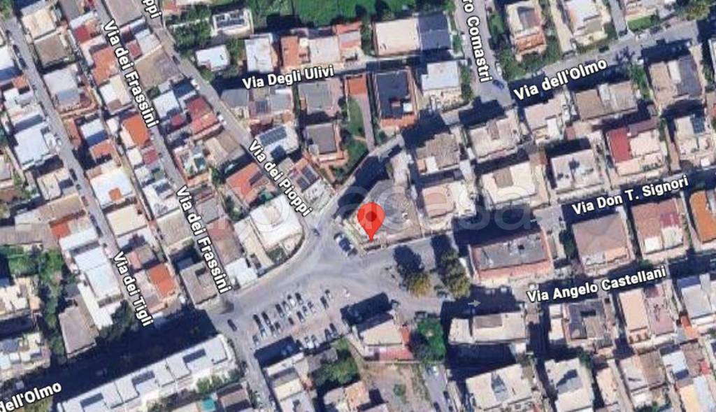 immagine annuncio 5 di 13