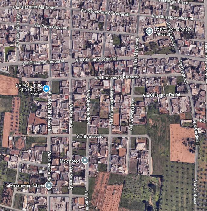 immagine annuncio 2 di 15