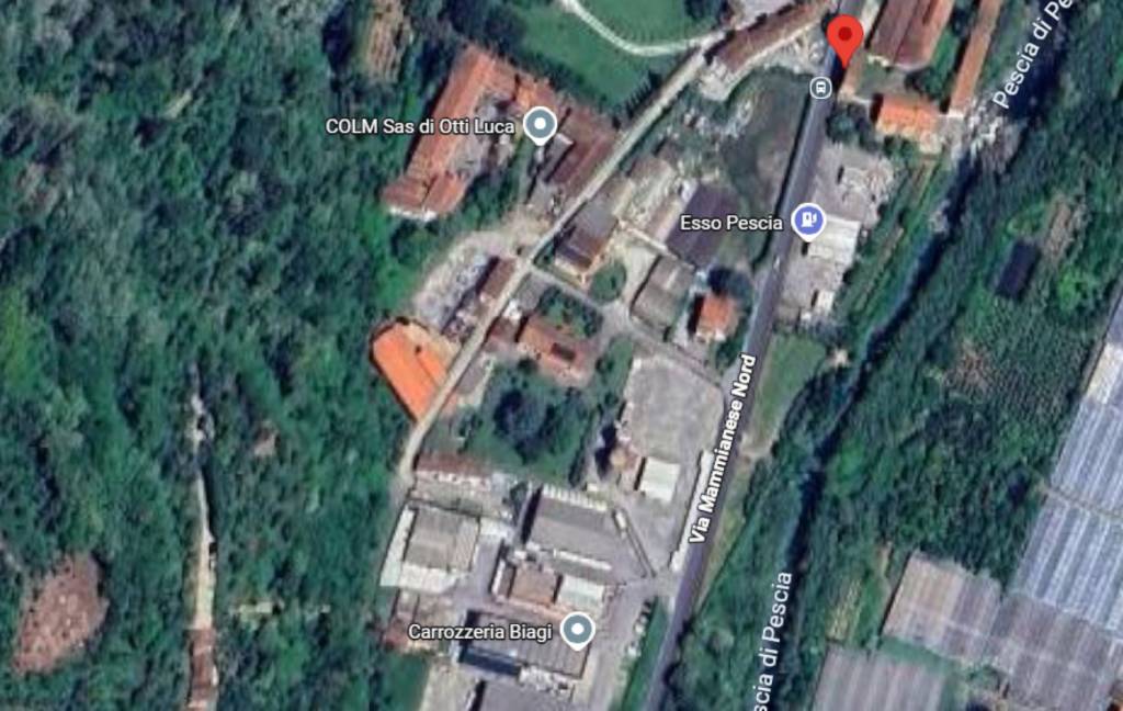 immagine annuncio 12 di 14