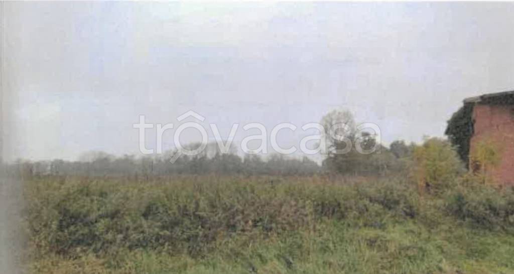 immagine annuncio 6 di 8