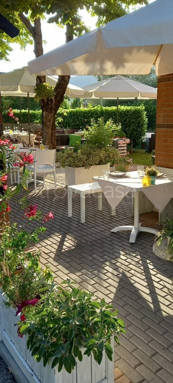 immagine annuncio 5 di 11