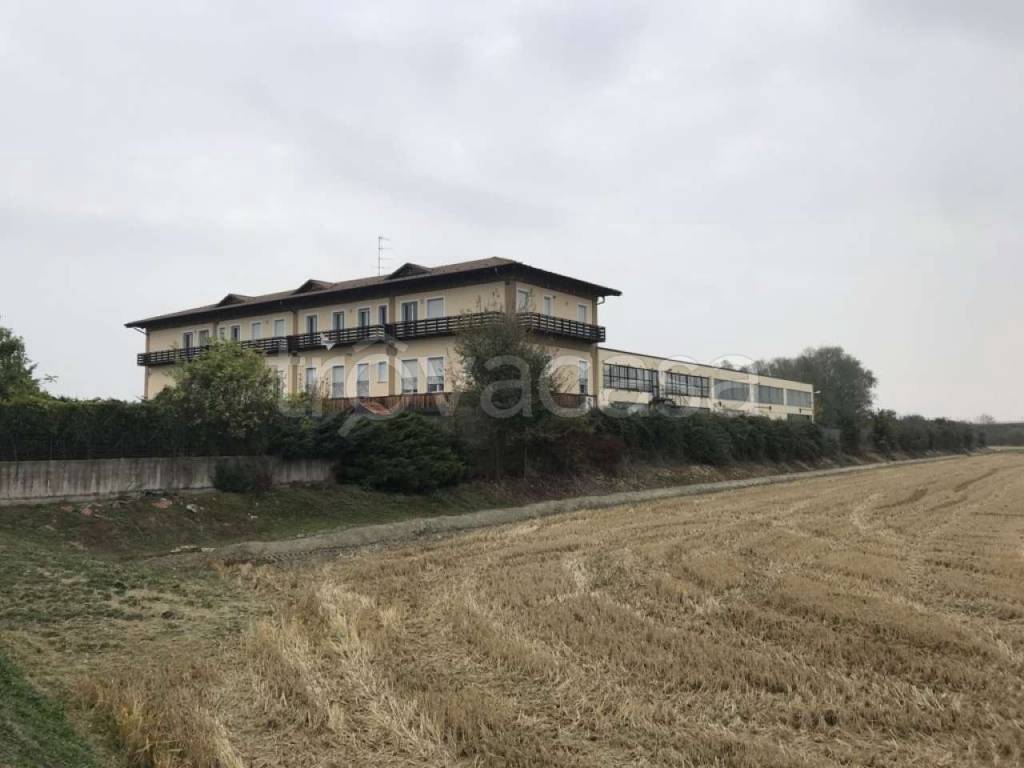 immagine annuncio 9 di 15