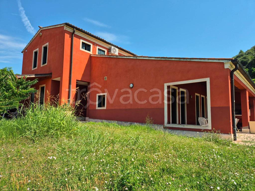 immagine annuncio 2 di 7