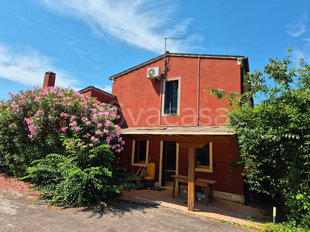 immagine annuncio 5 di 7