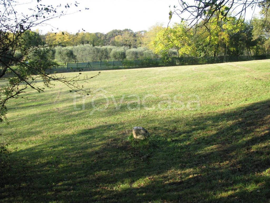 immagine annuncio 6 di 12