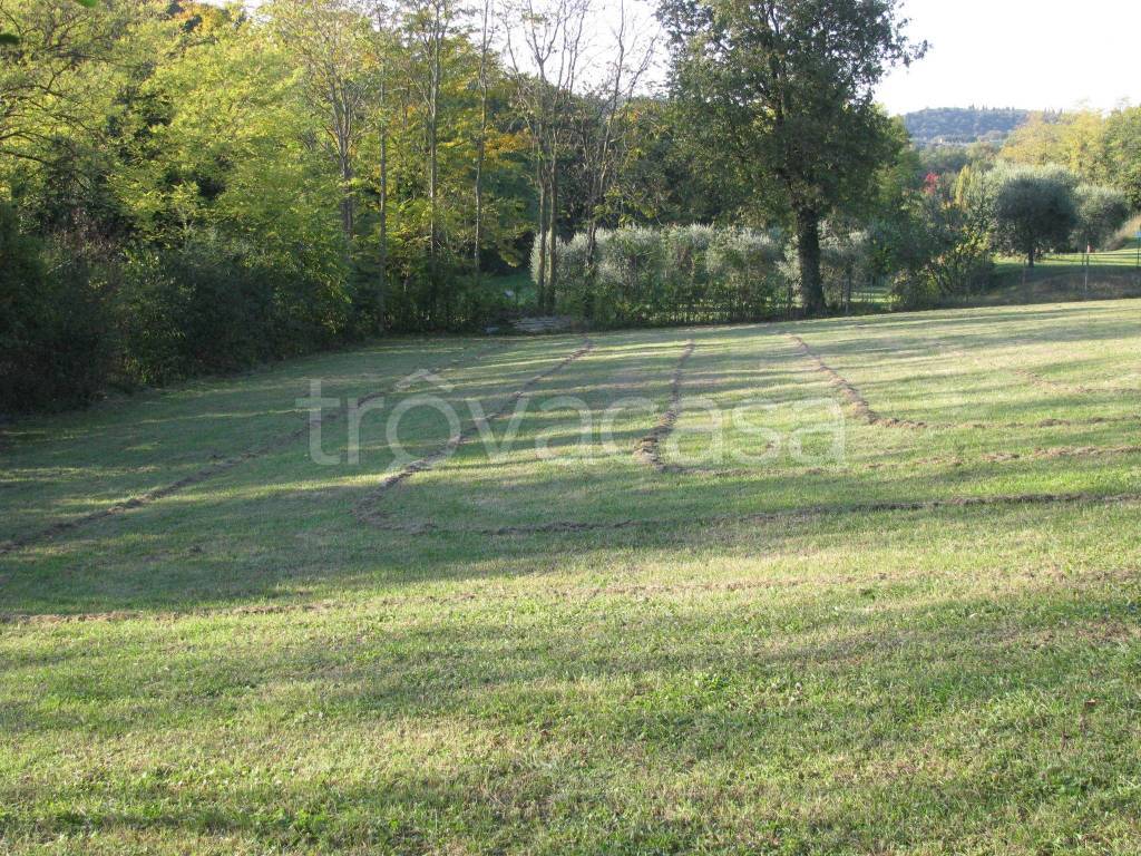 immagine annuncio 7 di 12