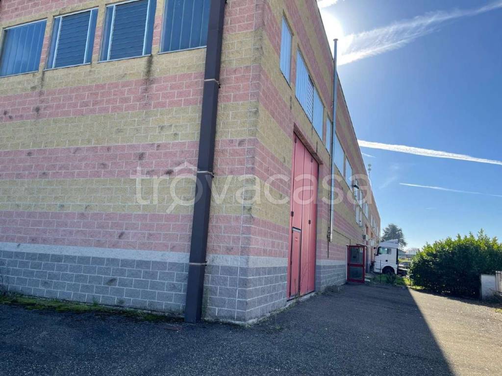 immagine annuncio 5 di 11