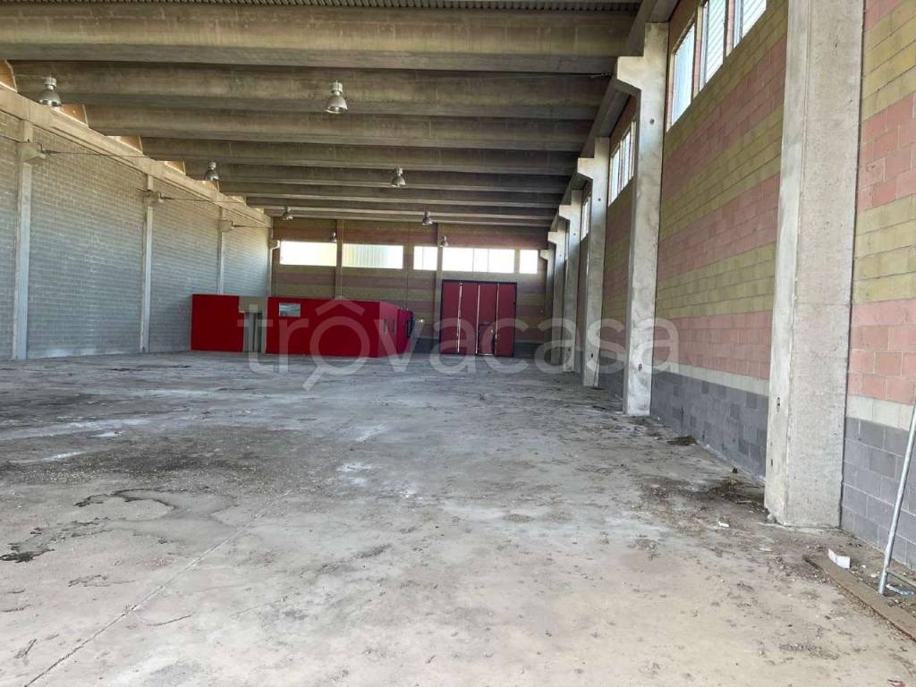 immagine annuncio 8 di 11