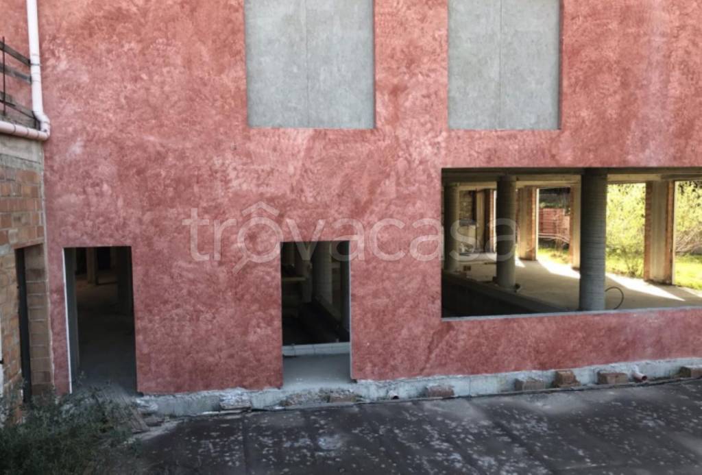 immagine annuncio 10 di 14