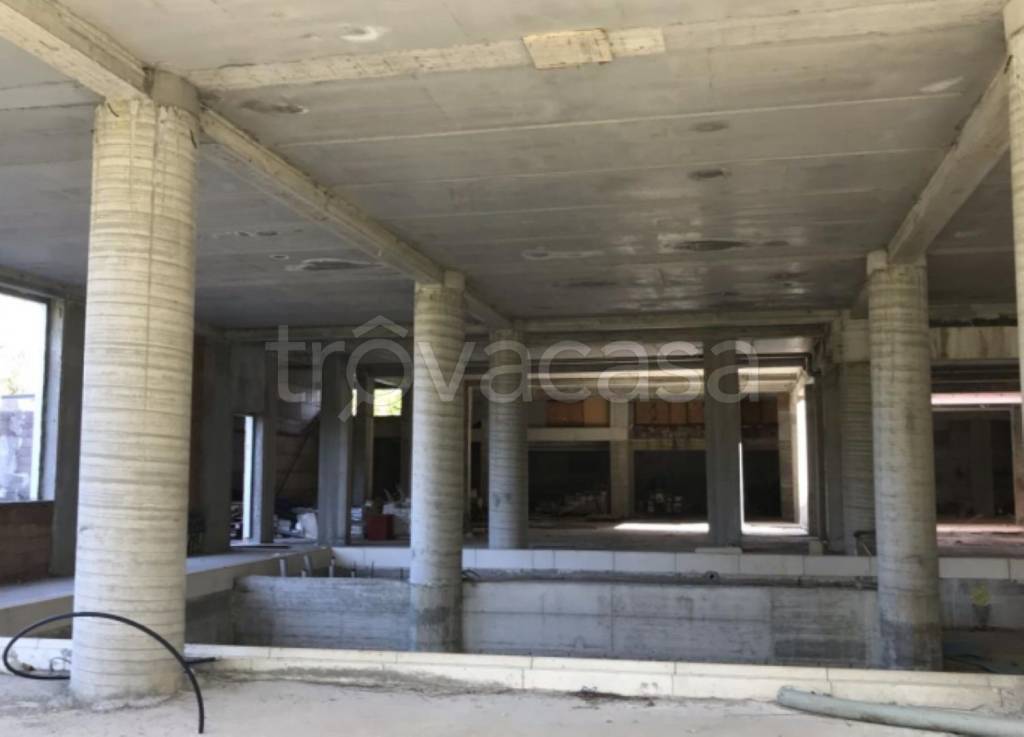 immagine annuncio 12 di 14