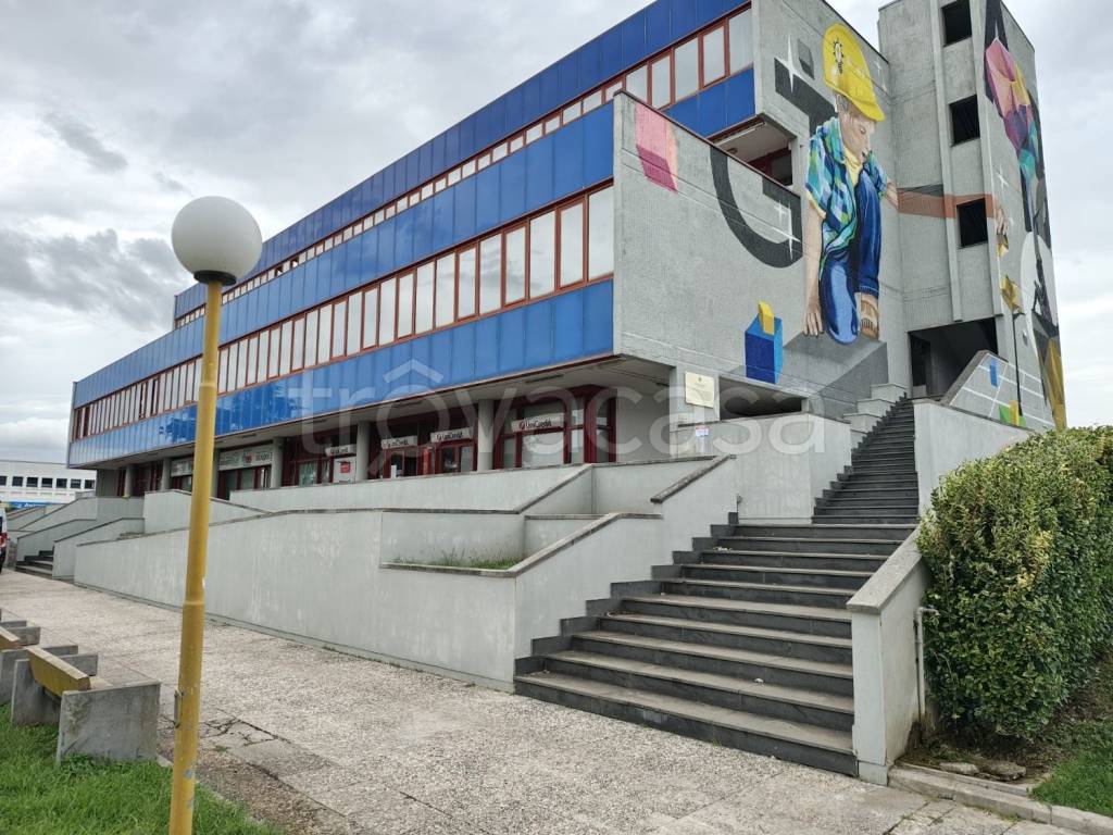 immagine annuncio 1 di 14