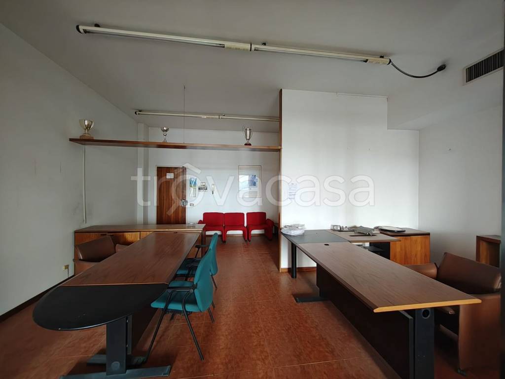 immagine annuncio 9 di 14