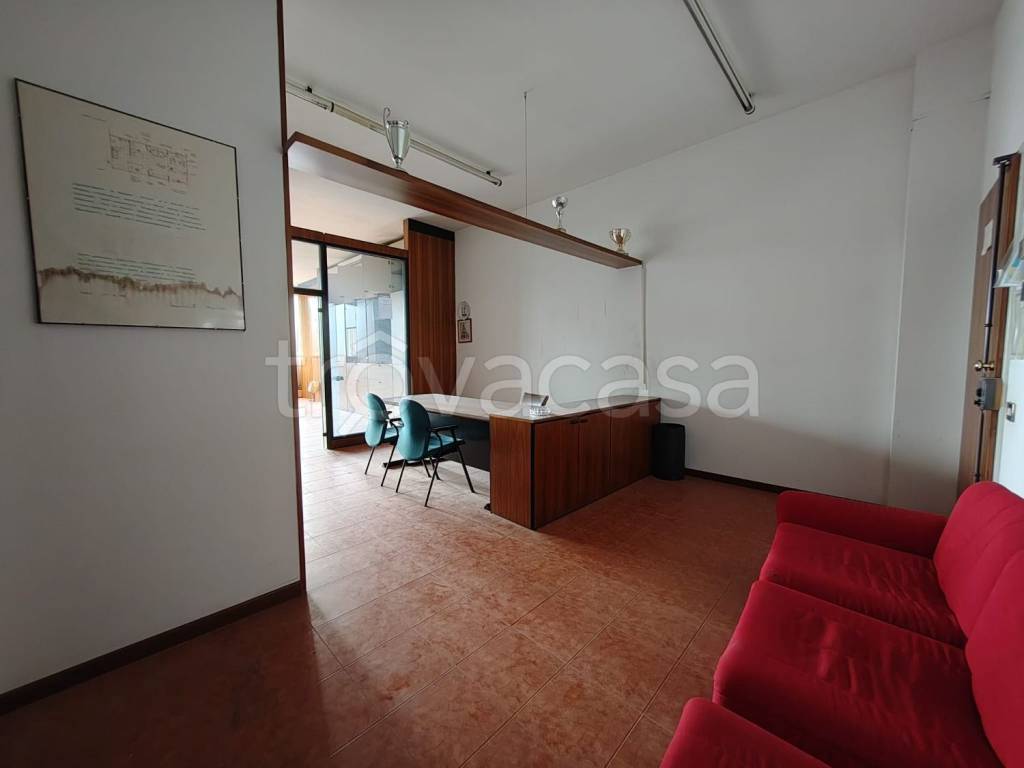 immagine annuncio 11 di 14