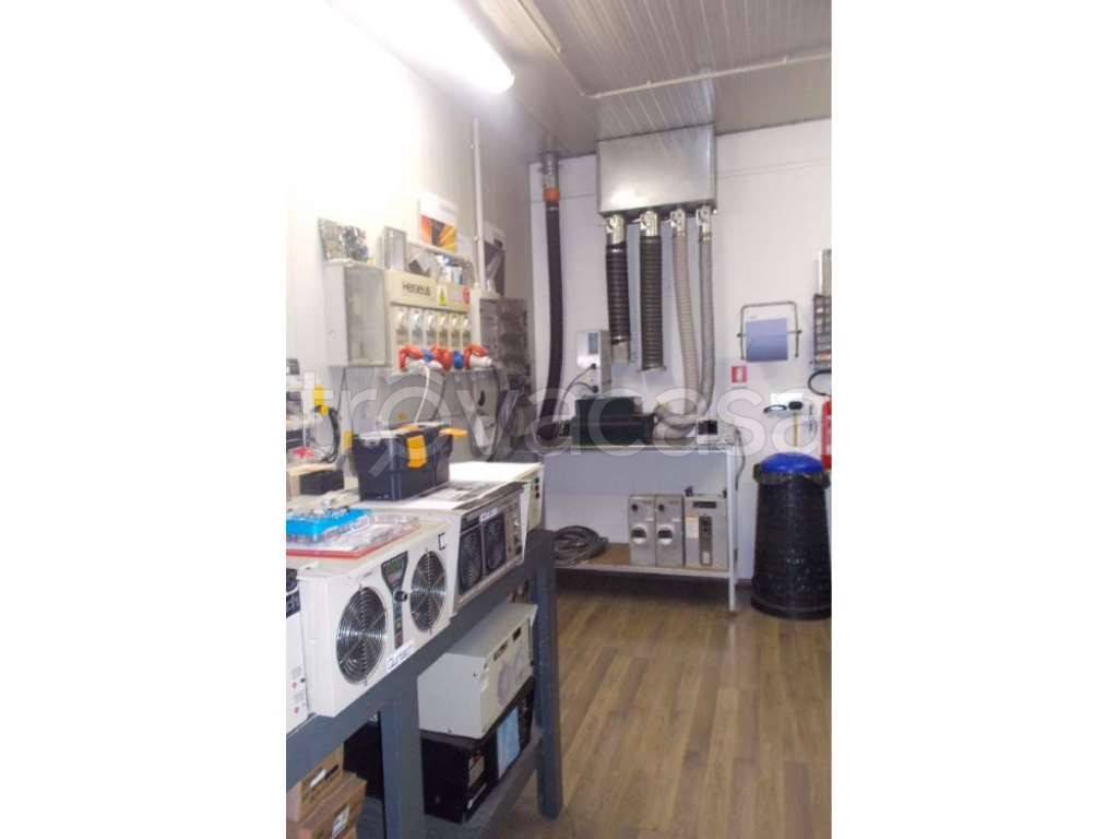 immagine annuncio 5 di 13