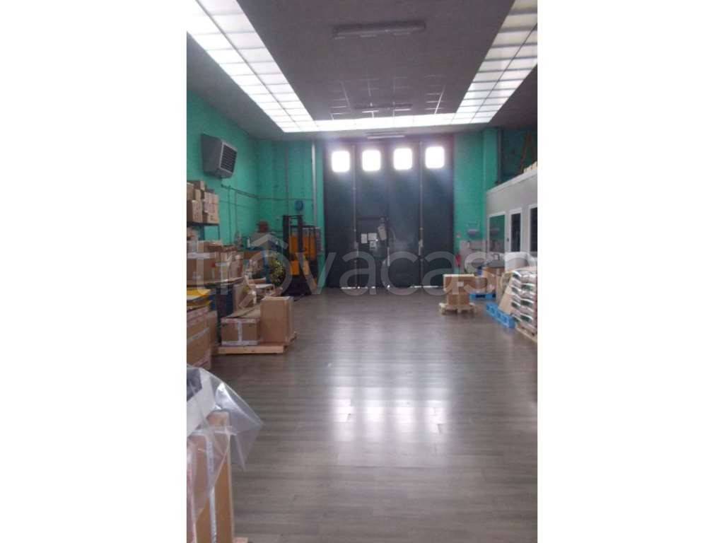 immagine annuncio 6 di 13