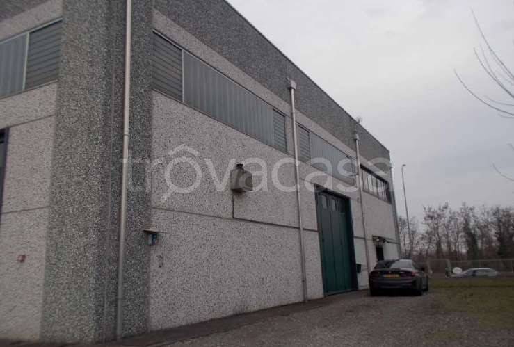 immagine annuncio 12 di 13