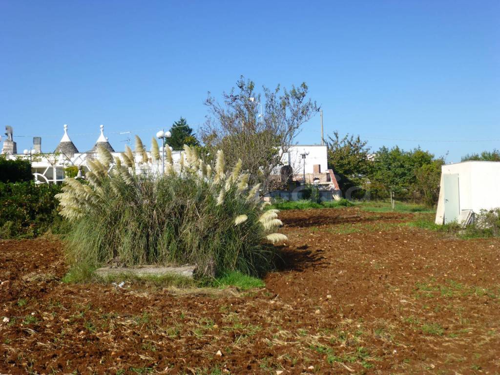 immagine annuncio 10 di 14