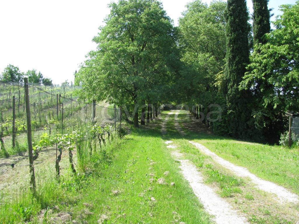 immagine annuncio 11 di 12