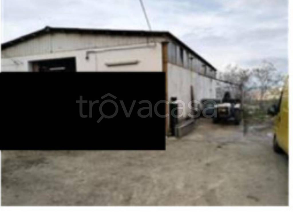 immagine annuncio 2 di 13