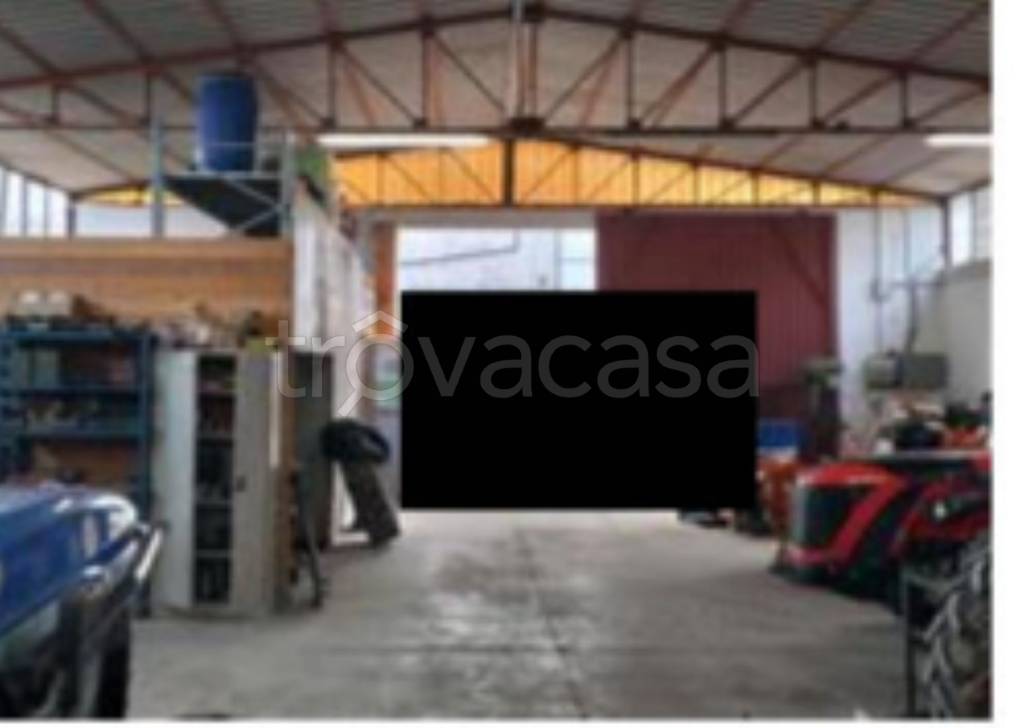 immagine annuncio 5 di 13