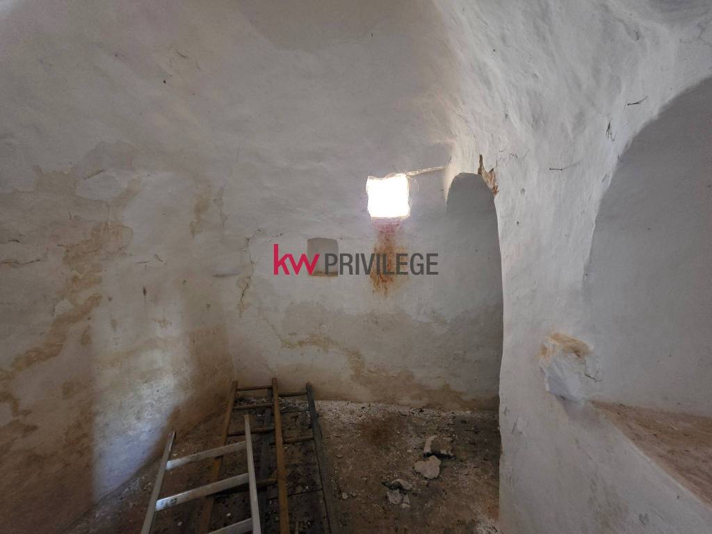 immagine annuncio 10 di 14