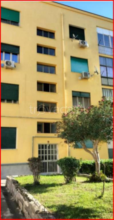 immagine annuncio 2 di 12