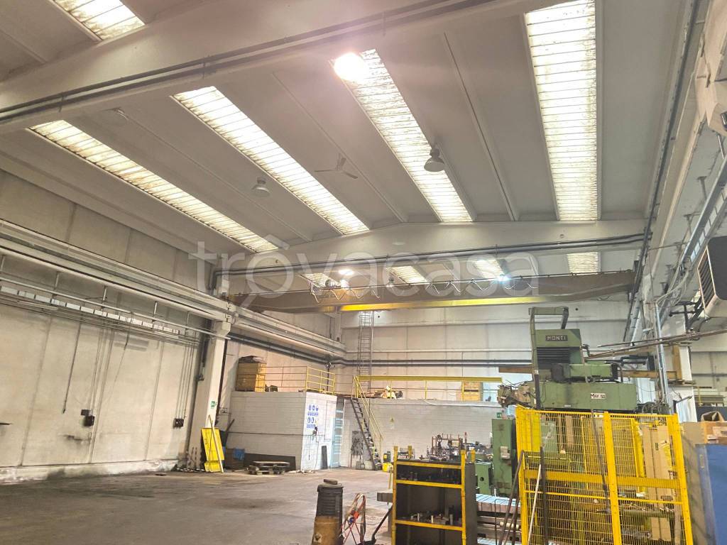 immagine annuncio 12 di 15