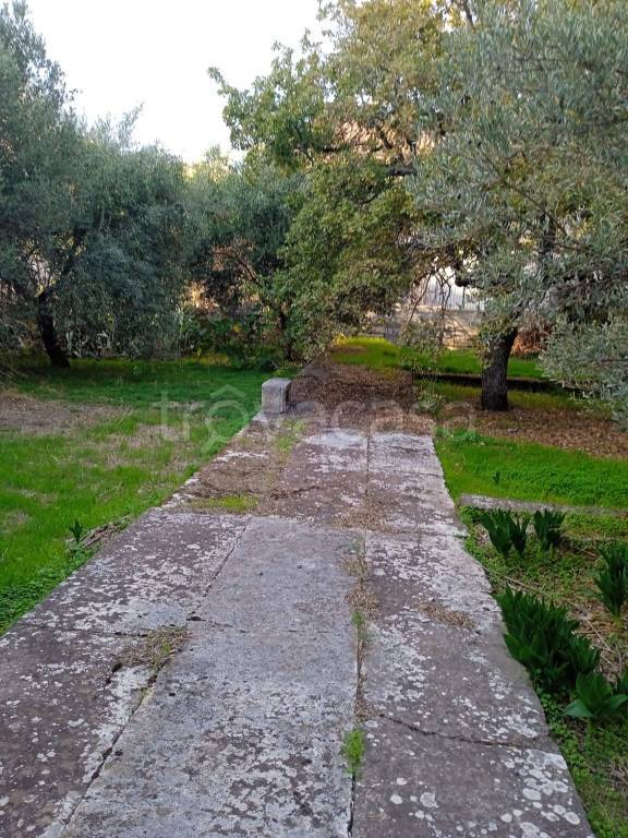 immagine annuncio 6 di 14