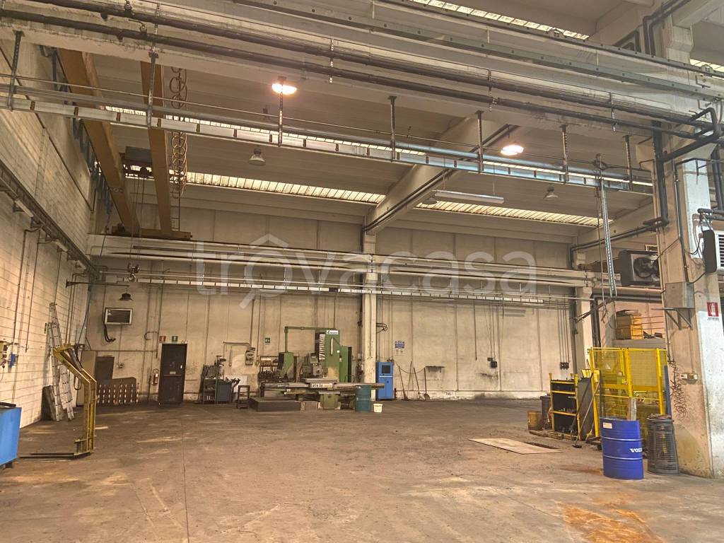 immagine annuncio 11 di 15