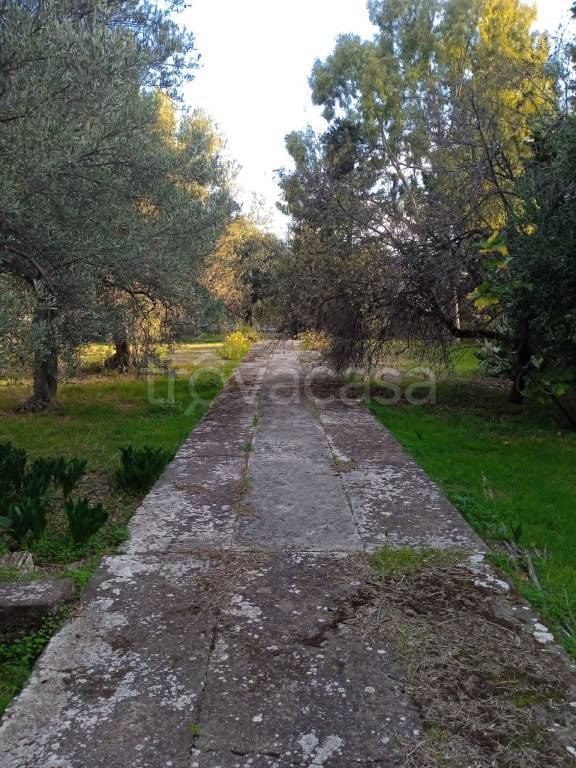 immagine annuncio 13 di 14