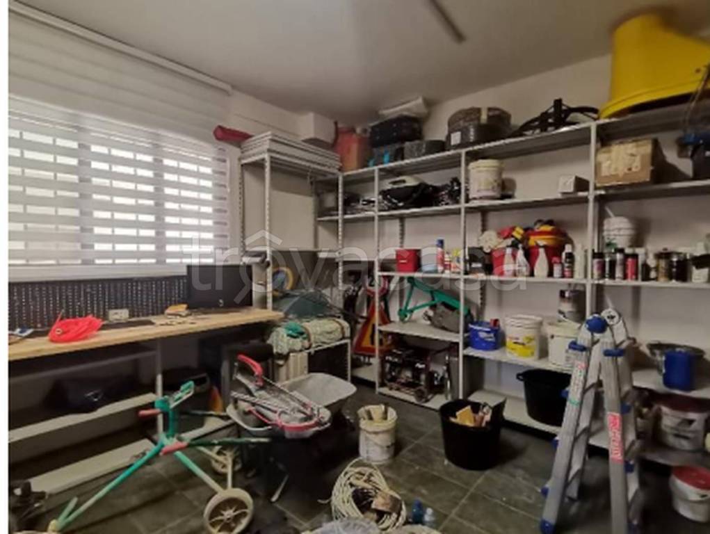 immagine annuncio 11 di 14