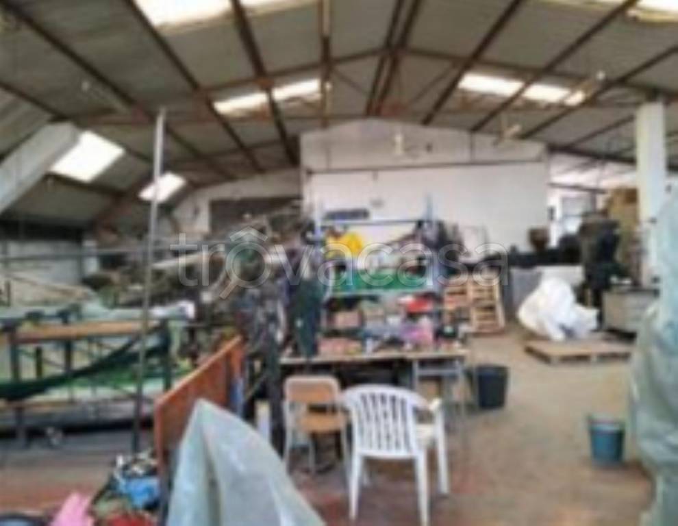 immagine annuncio 4 di 13