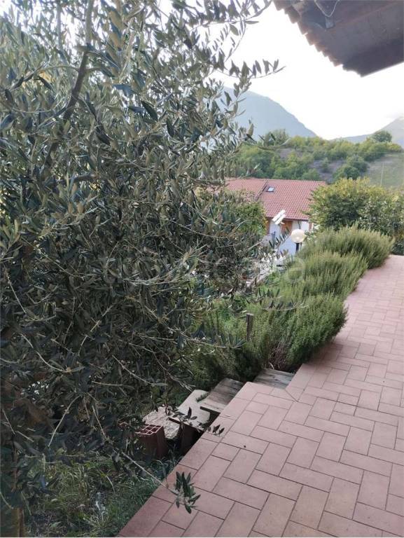 immagine annuncio 8 di 11