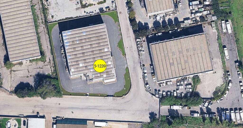 immagine annuncio 12 di 13