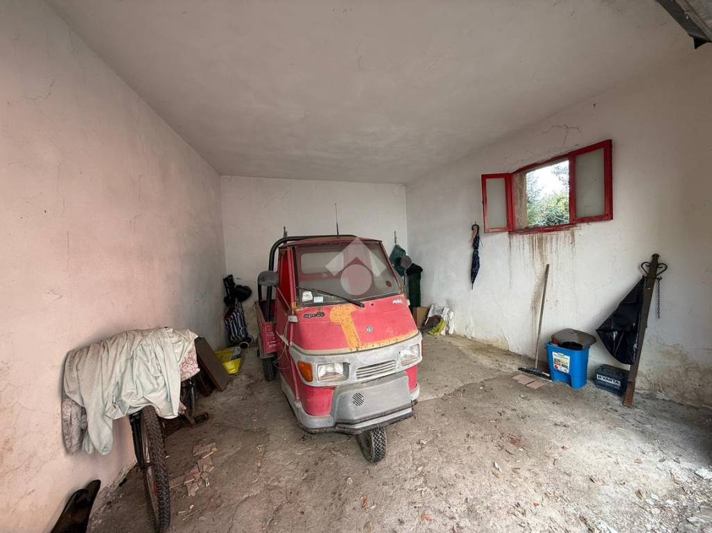 immagine annuncio 11 di 14