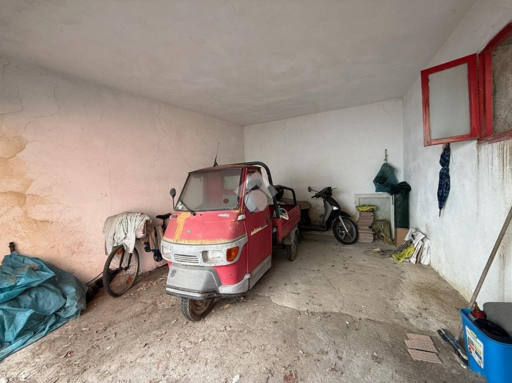 immagine annuncio 12 di 14