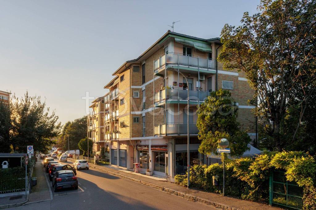 immagine annuncio 1 di 15