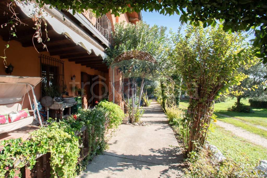 immagine annuncio 5 di 15