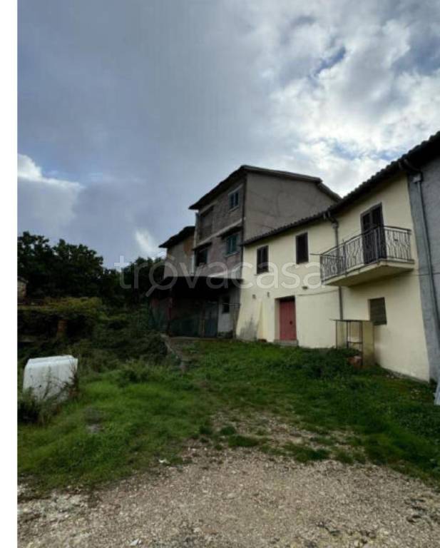 immagine annuncio 4 di 13