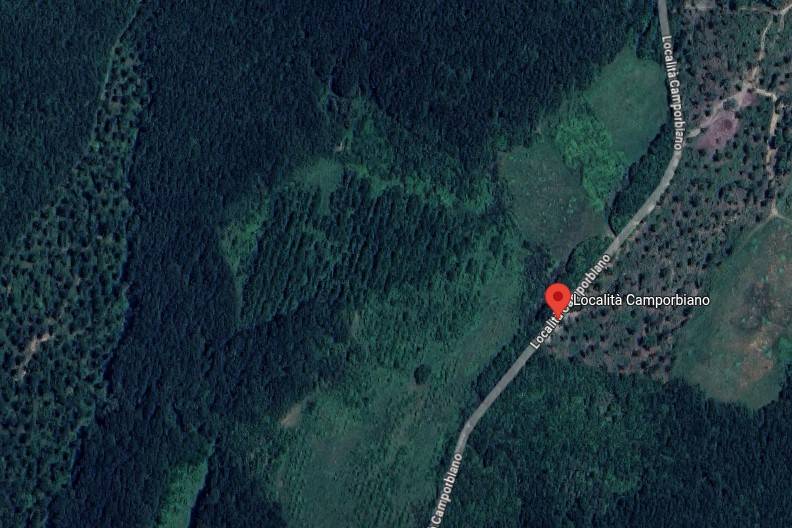 immagine annuncio 2 di 15