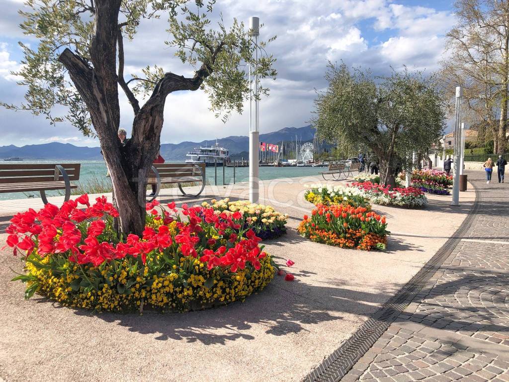 immagine annuncio 10 di 14