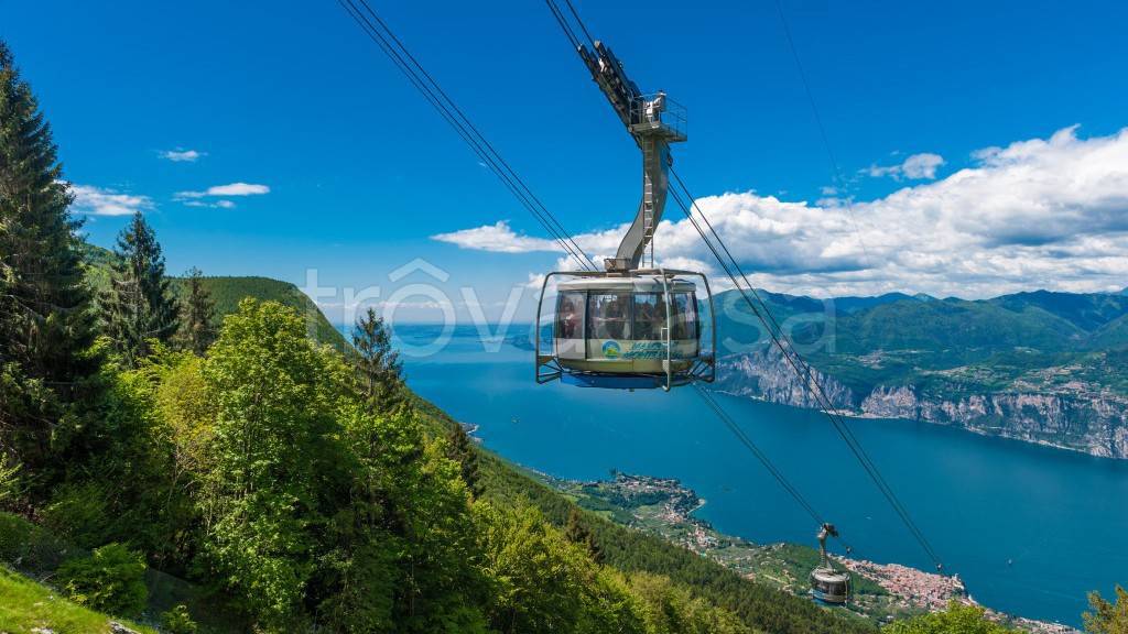 immagine annuncio 12 di 14