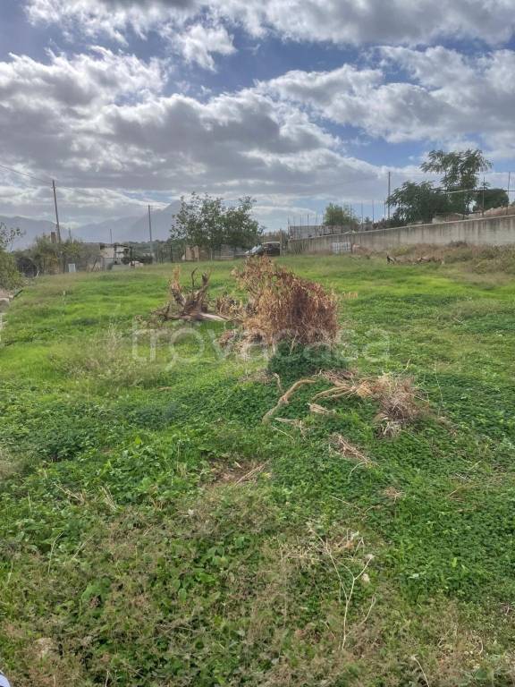 immagine annuncio 6 di 14