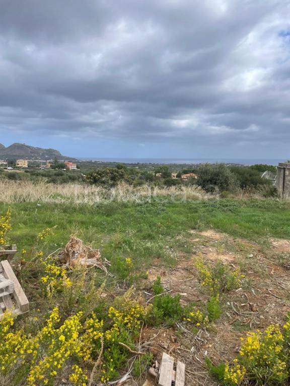 immagine annuncio 9 di 14