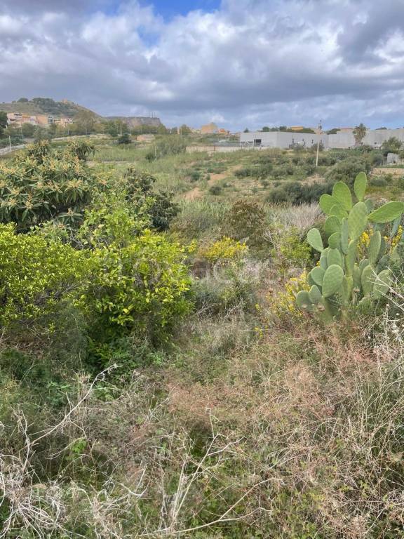 immagine annuncio 13 di 14