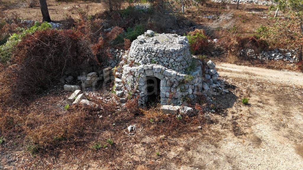 immagine annuncio 3 di 7